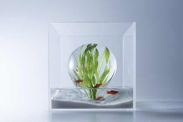 waterscape（写真：林 雅之）