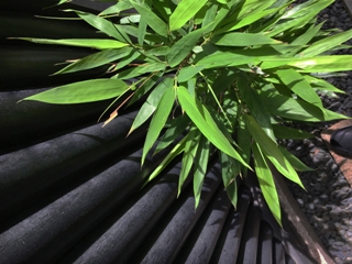 Ubiquity Bamboo / Jean-Louis Boissier