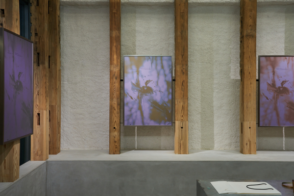 参考作品　Art installation “Dinamesh” at T-HOUSE New Balance (2022) 